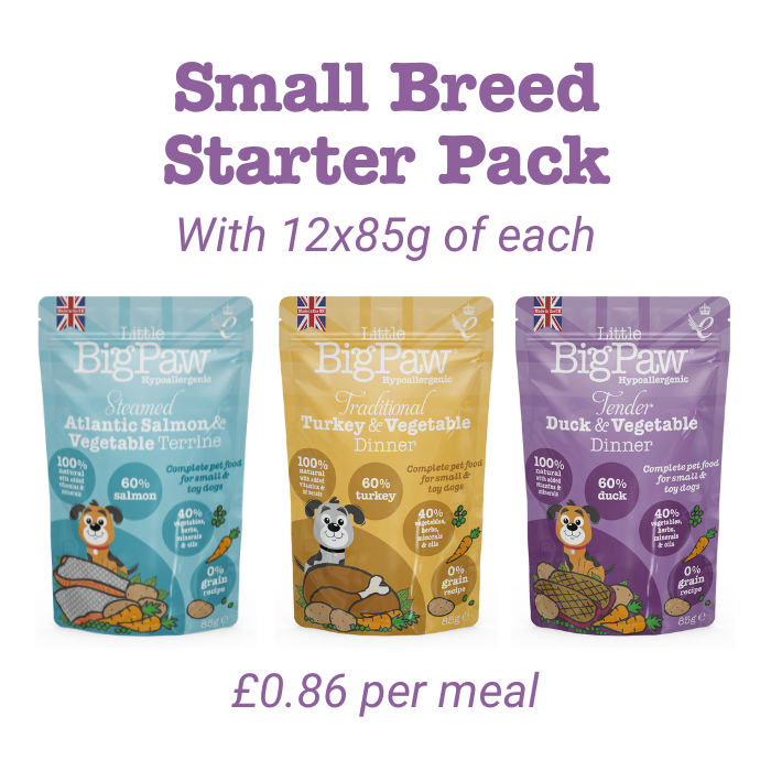 Wet Food Starter Pack for Small Breeds