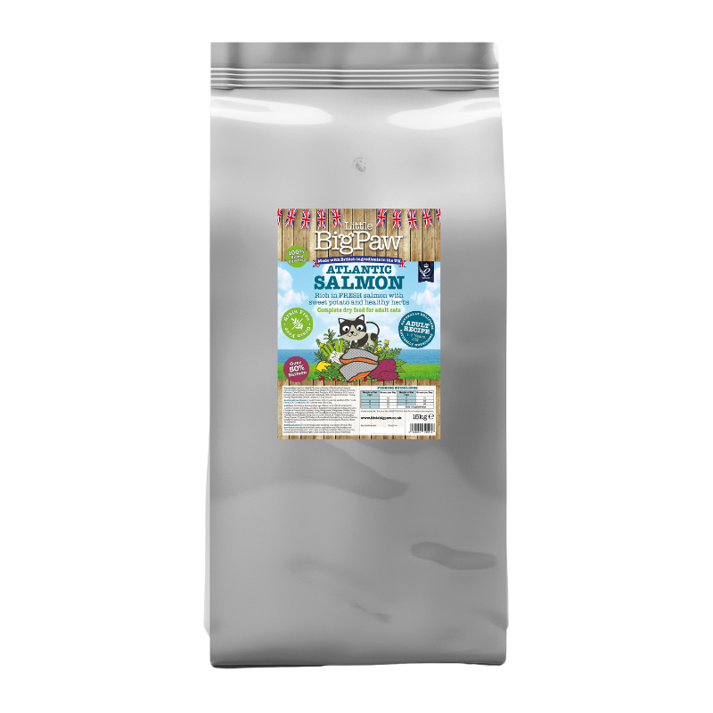 Atlantic Salmon Complete dry food for Adult Cats