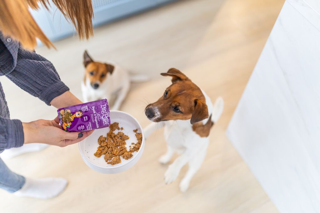 Wet Food Starter Pack for Small Breeds