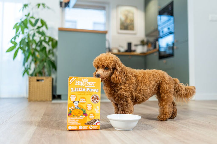 Little Paws British Chicken Complete dry food for Small Dogs 800g