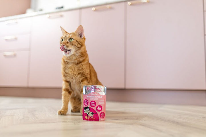 12x85g Gourmet Atlantic Tuna Mousse For Cats