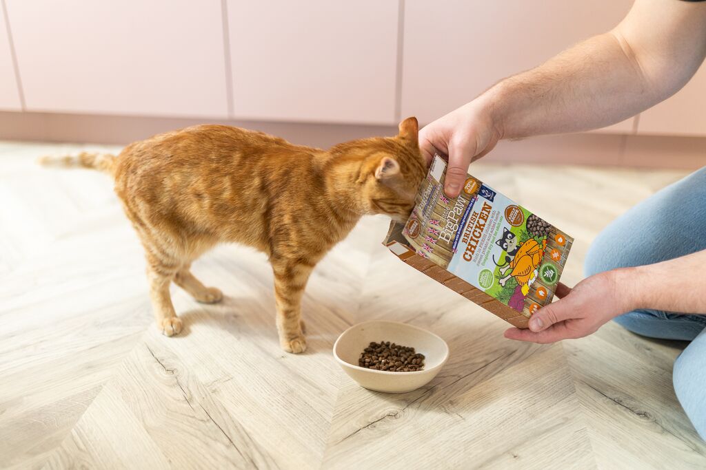 British Chicken Complete dry food for Adult Cats