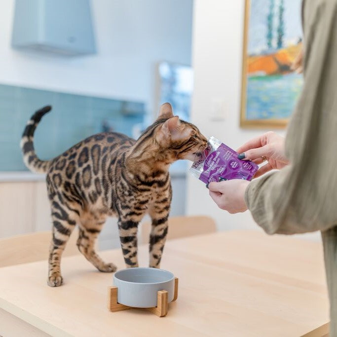 12x85g Gourmet Tender Duck Mousse For Cats
