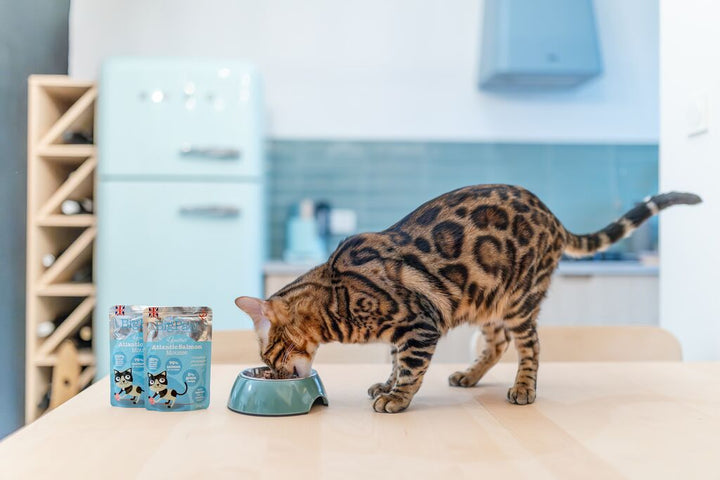 12x85g Gourmet Atlantic Salmon Mousse For Cats