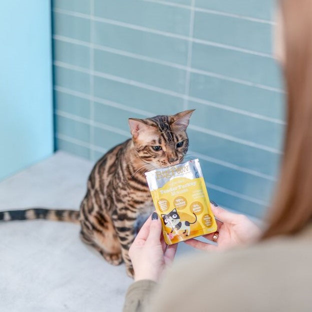 12x85g Gourmet Tender Turkey Mousse For Cats