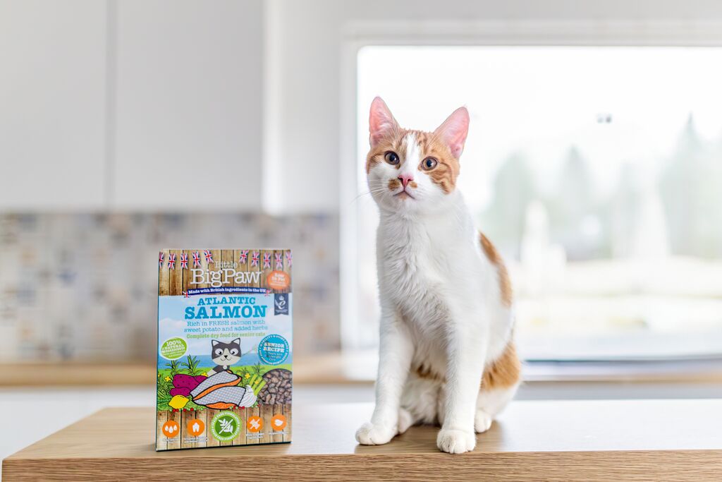 Atlantic Salmon Complete dry food for Senior Cats