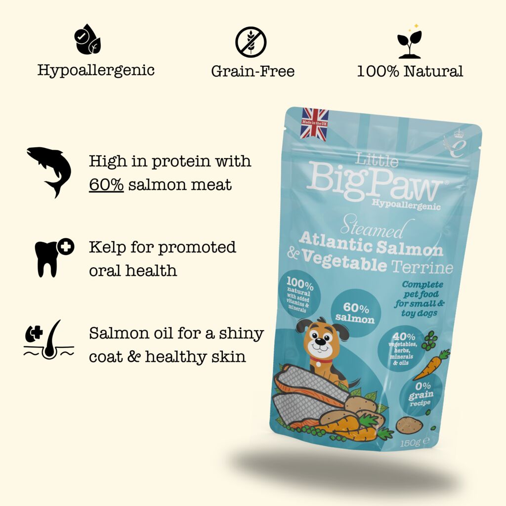 Steamed Atlantic Salmon & Vegetable Dinner Wet Food for Small Breed Dogs