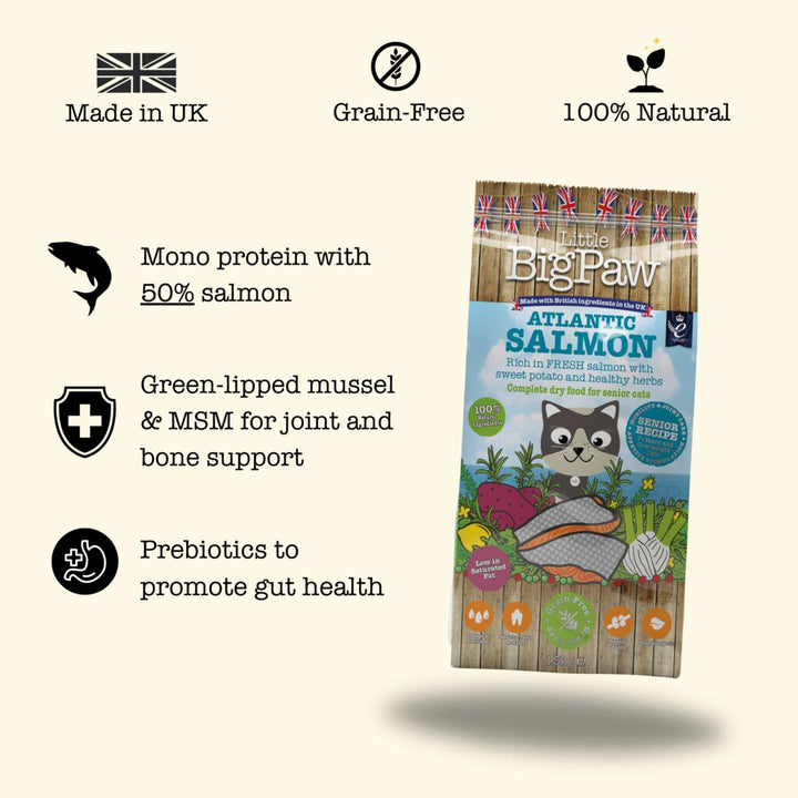 Atlantic Salmon Complete dry food for Senior Cats