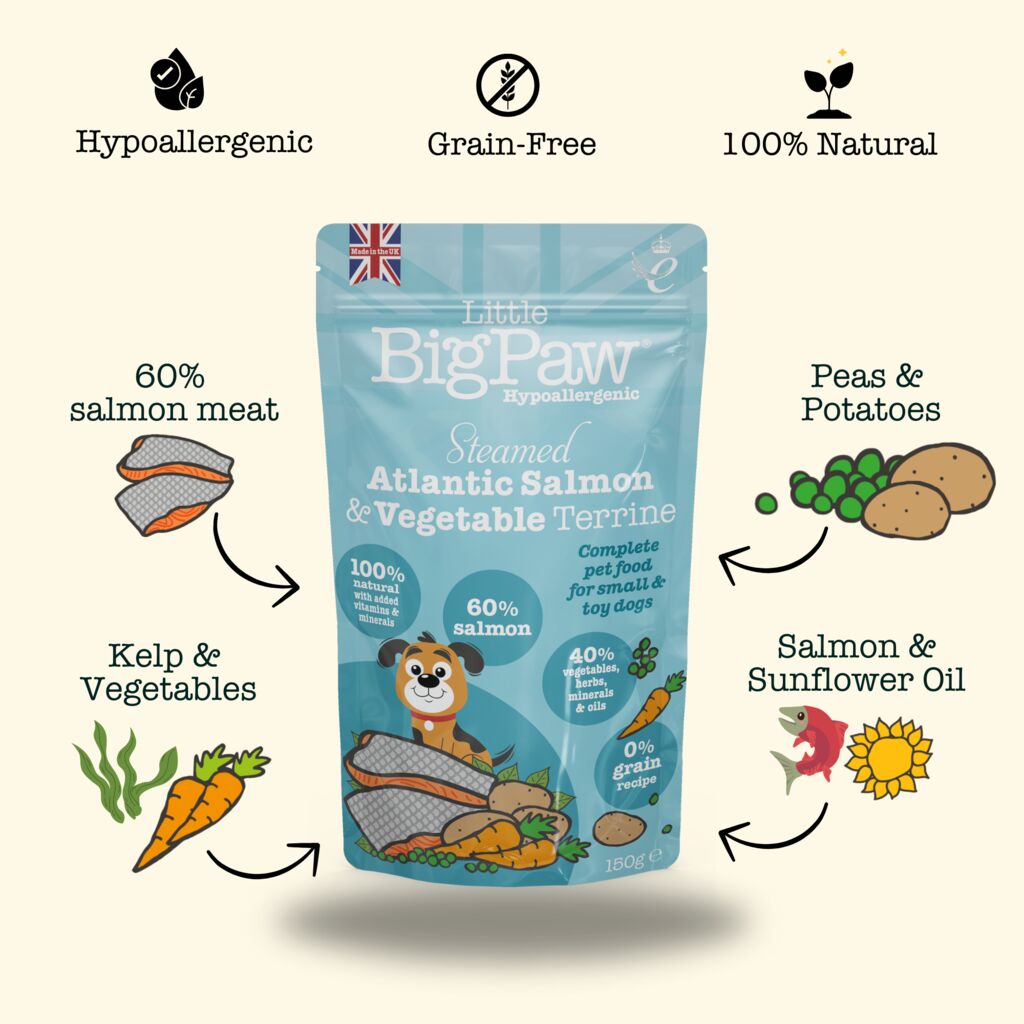 Steamed Atlantic Salmon & Vegetable Dinner Wet Food for Small Breed Dogs