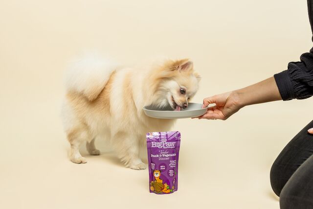 Tender Duck & Vegetable Dinner Wet Food for Small Breed Dogs