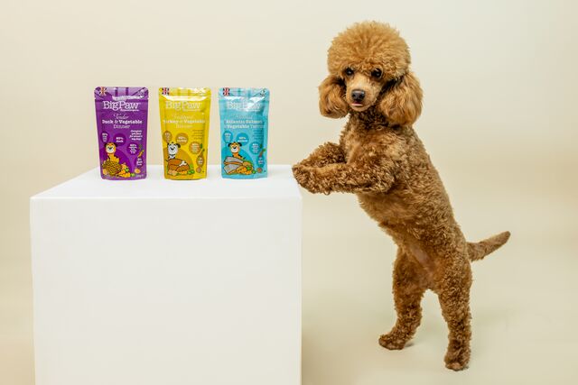 Wet Food Selection for Small Breed Dogs