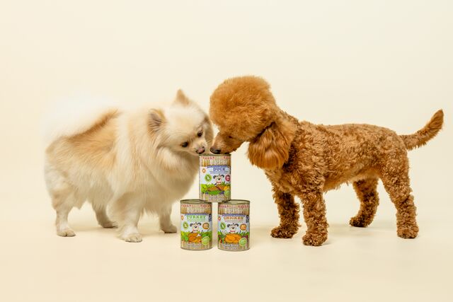 24x390g Little BigPaw Variety Tins