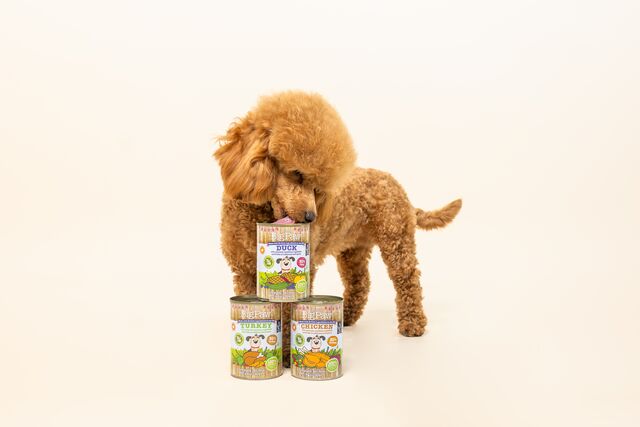 12x390g Duck & Vegetable Wet Food in a Rich Herb Gravy