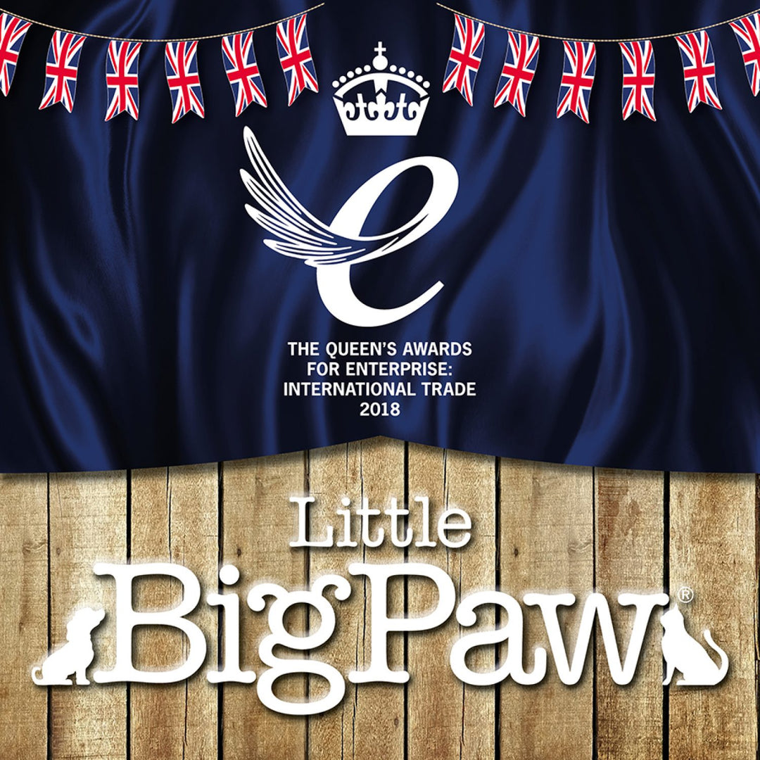 Little BigPaw goes to London for the Queens Award