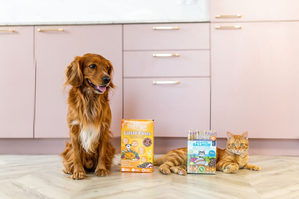 All Little BigPaw Products