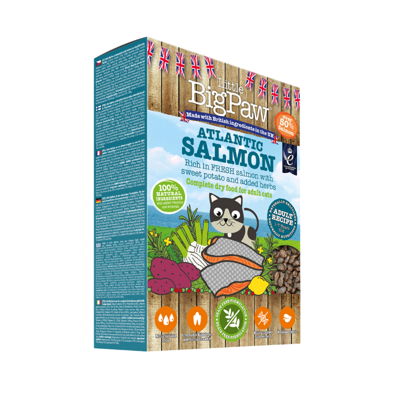 Atlantic Salmon Complete dry food for Adult Cats