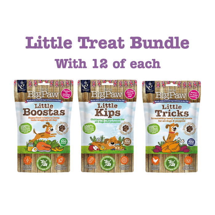 Little Treat Bundle - 36 Functional Treat Bags