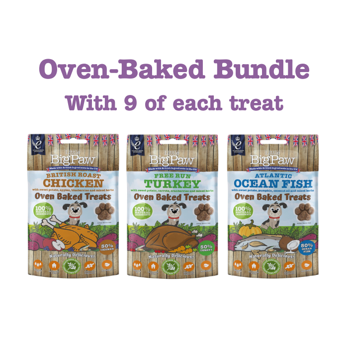 Oven-Baked Bundle - 27 Yummy Treat Bags