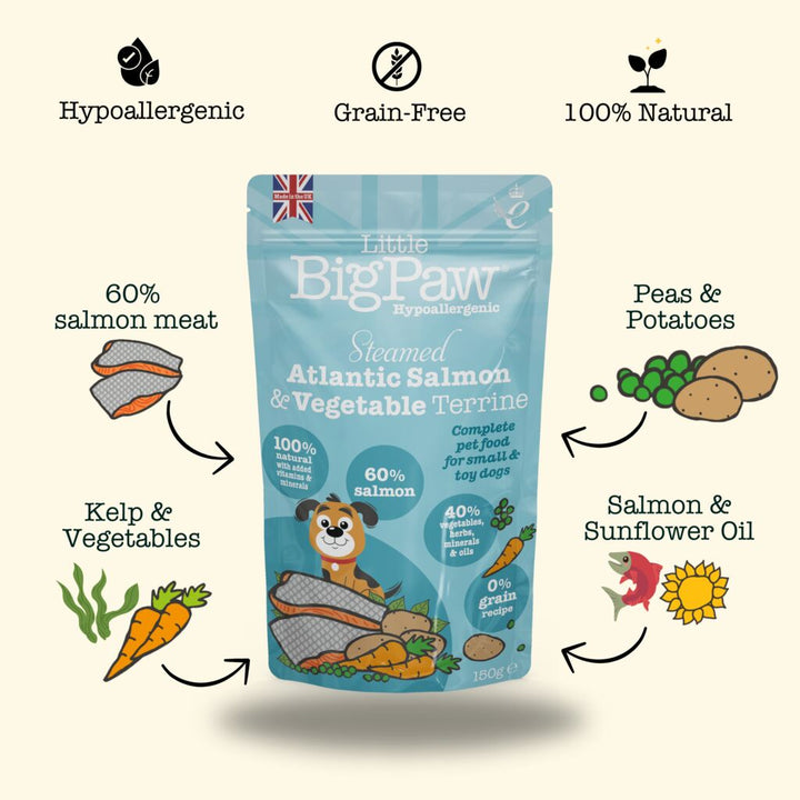 Steamed Atlantic Salmon & Vegetable Dinner Wet Food for Small Breed Dogs