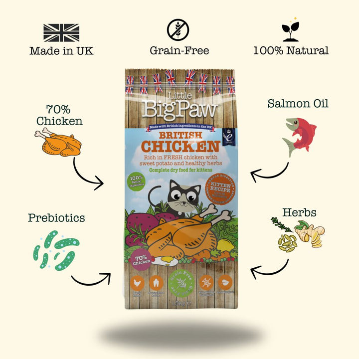 British Chicken Complete dry food for Kittens