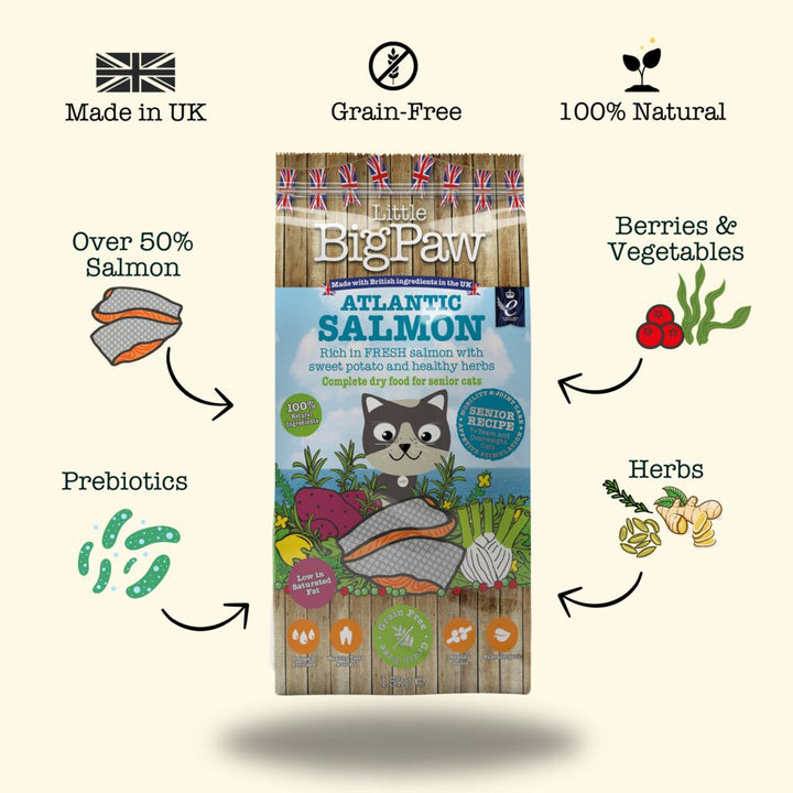 Atlantic Salmon Complete dry food for Senior Cats